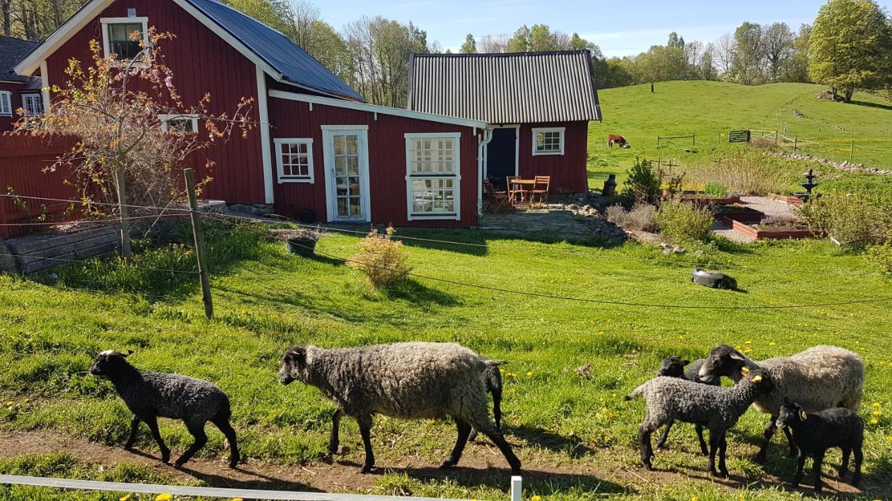 Lerdala Sjoebacken Gard B&B 외부 사진